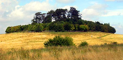 Sinodun Hill, Little Wittenham -  Nash Ford Publishing