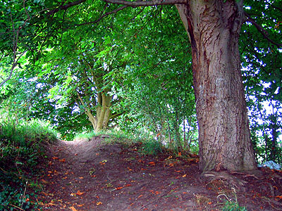 The Ramparts of the Burgh at Wallingford -  Nash Ford Publishing